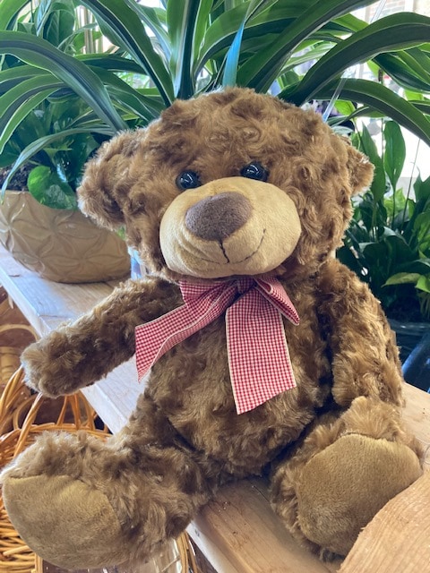 Brown Bear